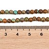 Natural Turquoise Beads Strands G-Z163-B02-4mm-5