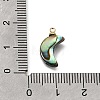 Natural Abalone Shell Pendants SH-CJC0AC7-01E-G-3