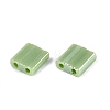 FGB 2-Hole Glass Seed Beads SEED-S031-L-124-2