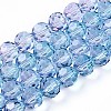 Baking Paint Transparent Glass Beads Strands DGLA-A035-T10mm-A06-2