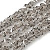 Electroplate Transparent Glass Beads Strands EGLA-P061-04C-PL01-1