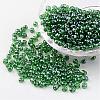 Round 6/0 Glass Seed Beads X-SEED-A006-4mm-107B-1
