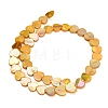 Natural Freshwater Shell Beads Strands SH-CBA93AD-06B-3