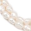 Natural Cultured Freshwater Pearl Beads Strands PEAR-P064-20I-05A-4