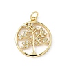 Brass Micro Pave Cubic Zirconia Pendants KK-S337-07G-E-1