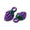 Baking Paint Alloy Pendants FIND-G097-04B-2