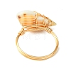 Natural Spiral Shell Finger Rings RJEW-TA00169-5