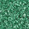Transparent Inside Colours Glass Seed Beads SEED-A032-04G-3