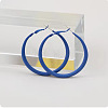 Spray Painted Alloy Hoop Earrings FS-WG43B6B-08-1