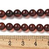 Natural Amber Beads Strands G-K387-D01-01-5