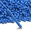 TOHO 6/0 Round Beads SEED-TR06-0043D-2