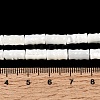 Natural Trochid Shell/Trochus Shell Beads Strands SHEL-A006-06A-4