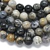 Natural Dendritic Opal Beads Strands G-R494-A23-04A-3