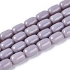 Opaque Glass Beads Strands GLAA-T028-14P-A04-1