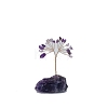 Natural Amethyst Sculpture Display Decorations PW-WG65280-07-1