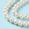 Natural Pearl Beads Strands PEAR-E018-75-4