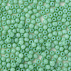 6/0 Imitation Jade Glass Seed Beads SEED-N004-006-15-4