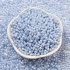 Glass Seed Beads SEED-K009-02B-18-2