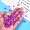 Transparent Acrylic Beads X-PL554-16-7