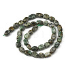 Natural African Turquoise(Jasper) Beads Strands G-P623-A04-01-3
