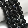 Natural Black Labradorite Beads Strands G-L642-B15-14mm-1