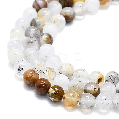 Natural White African Opal Beads Strands G-K245-A18-02-1