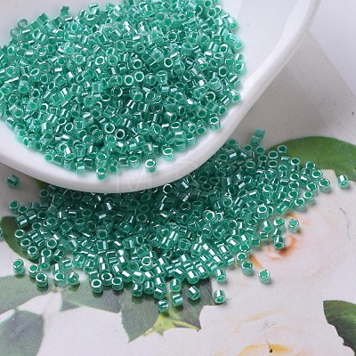 MIYUKI Delica Beads SEED-X0054-DB0238-1