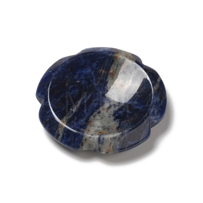 Natural Sodalite Worry Stones G-E586-01O-1