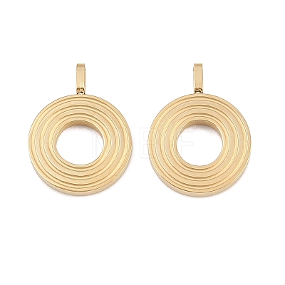 304 Stainless Steel Charms STAS-L022-589O-1