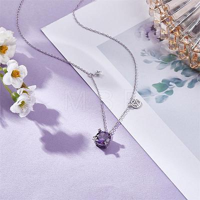 925 Sterling Silver Zircon Pendant Necklace 12 Constellation Pendant Necklace Jewelry Anniversary Birthday Gifts for Women Men JN1088H-1