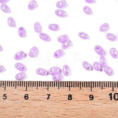 Opaque Colours Luster Glass Seed Beads SEED-T006-02D-1