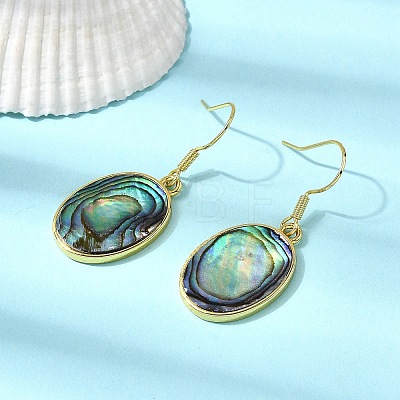 Brass Natural Paua Shell Dangle Earrings EJEW-M060-19C-G-1