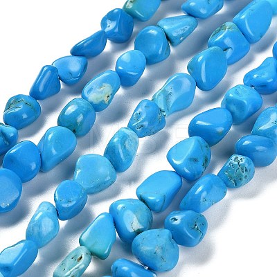 Natural Howlite Beads Strands G-P497-01E-37-1