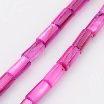 Natural Shell Bead Strands BSHE-P016-09-1