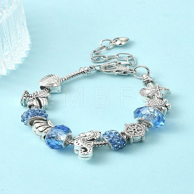 DIY Eurpean Bracelet Making Kit DIY-YW0007-89-1