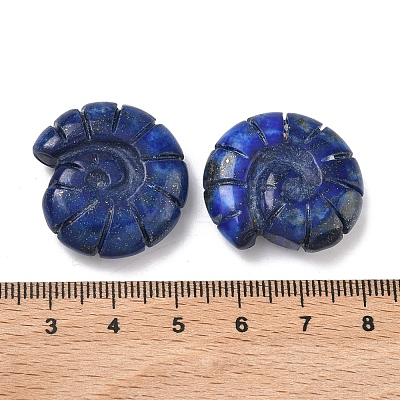 Natural Lapis Lazuli Conch Display Decorations DJEW-D303-01B-1