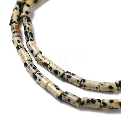 Natural Dalmatian Jasper Beads Strands G-E612-B01-1