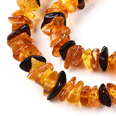 Natural Amber Beads Strands G-T138-235E-1