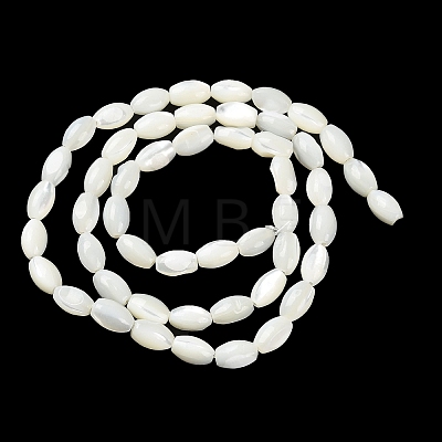 Natural Trochus Shell Beads Strands BSHE-E030-02C-1