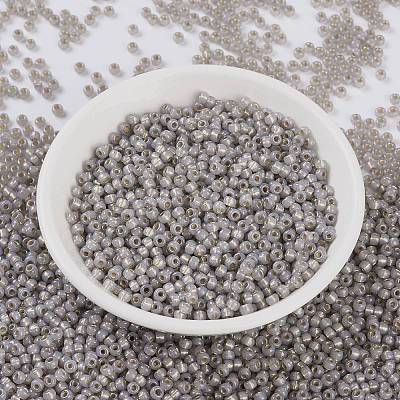 MIYUKI Round Rocailles Beads X-SEED-G008-RR2356-1