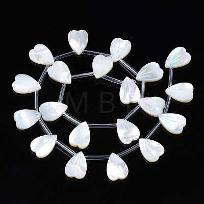 Natural White Shell Beads Strands SSHEL-S278-121B-01B-1