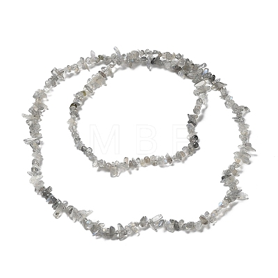 Natural Labradorite Beads Strands G-E607-A02-1