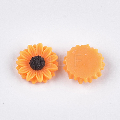 Resin Cabochons X-CRES-T010-60B-1