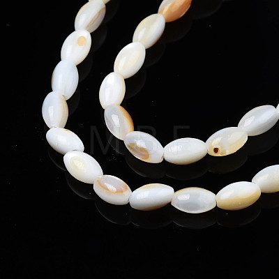Natural Freshwater Shell Beads Strands SHEL-N003-25-C01-1