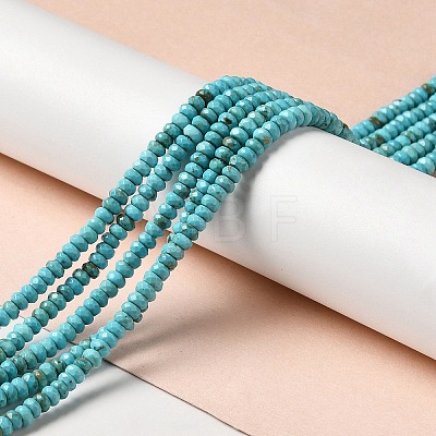 Natural Howlite Beads Strands G-C025-10B-1