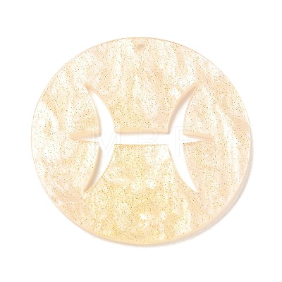Acrylic Pendants SACR-S680-06C-1