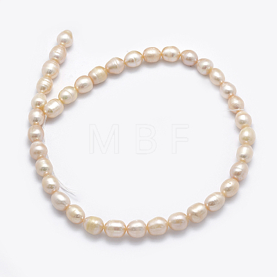 Natural Cultured Freshwater Pearl Beads Strands PEAR-K003-26C-01-1