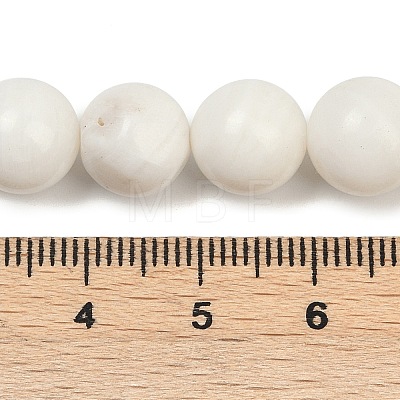 Natural White Shell Beads Strands BSHE-U001-01C-1