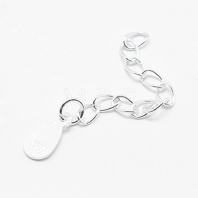 925 Sterling Silver Extender Chains STER-F032-11S-1