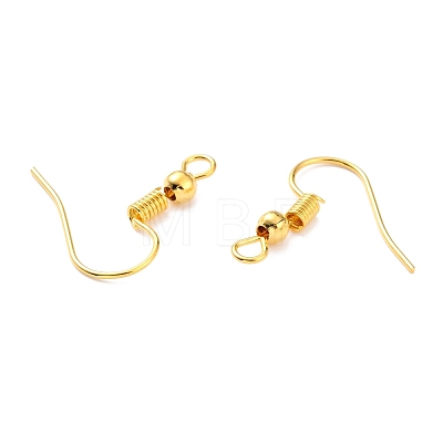 Iron Earring Hooks X-E135-NFG-1